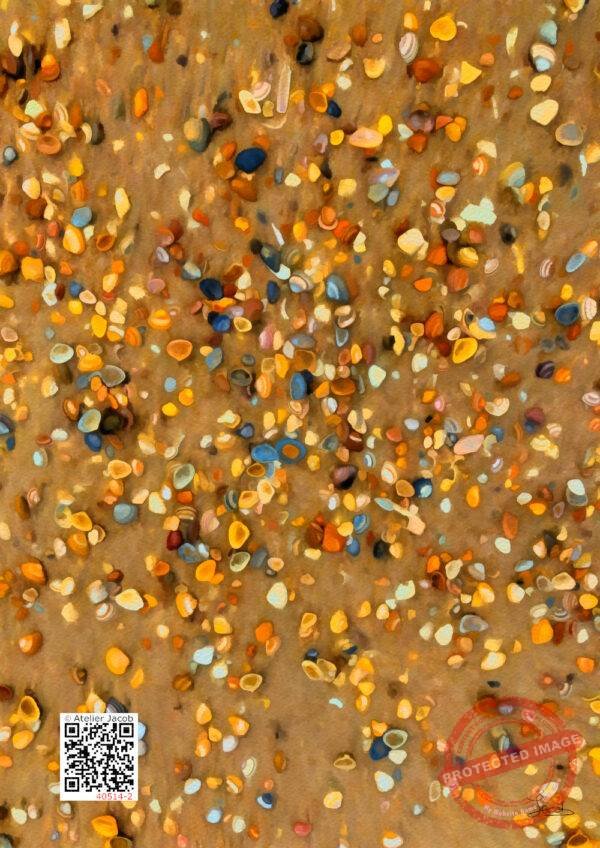 40514-2 Shells on a Dutch Beach